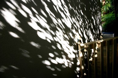 AT THE SETTING SUN, THIS IMAGE APPEARED ON THE SIDE OF OUR HOUSE
